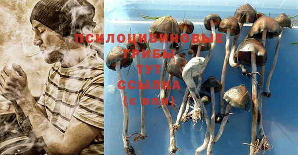 гашиш Алзамай