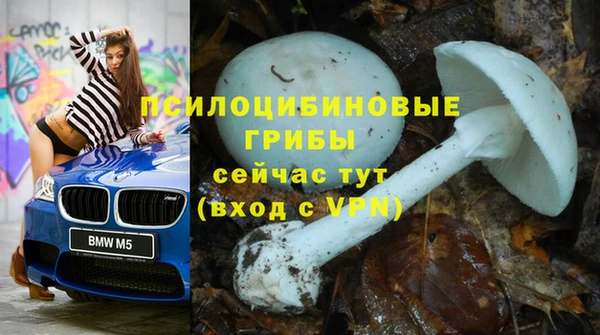 трава Алексин